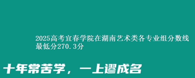 2025高考宜春学院在湖南艺术类各专业组分数线 最低分270.3分
