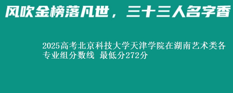 2025高考北京科技大学天津学院在湖南艺术类各专业组分数线 最低分272分