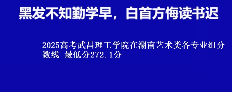 2025高考武昌理工学院在湖南艺术类各专业组分数线 最低分272.1分