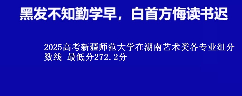 2025高考新疆师范大学在湖南艺术类各专业组分数线 最低分272.2分