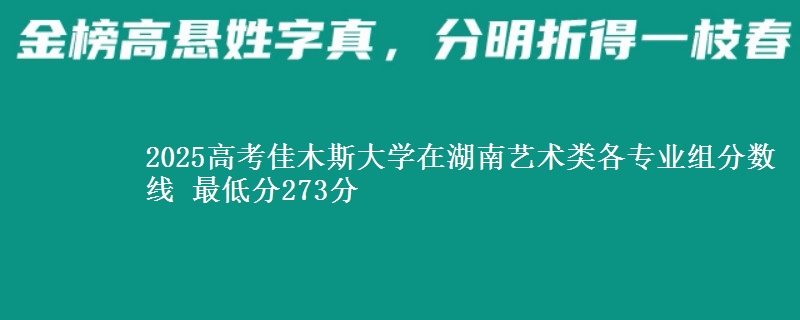 2025高考佳木斯大学在湖南艺术类各专业组分数线 最低分273分