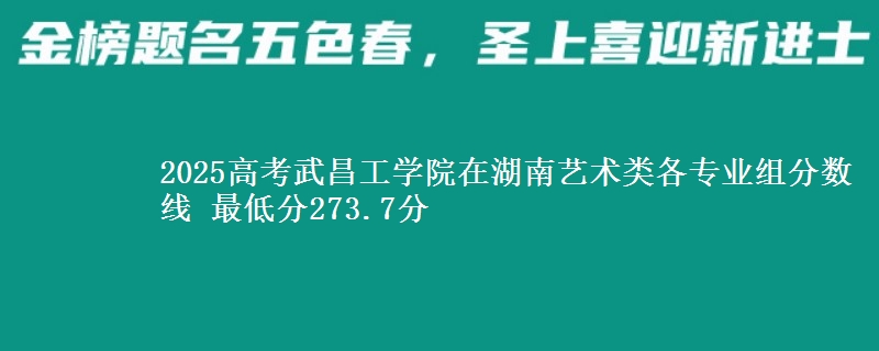 2025高考武昌工学院在湖南艺术类各专业组分数线 最低分273.7分