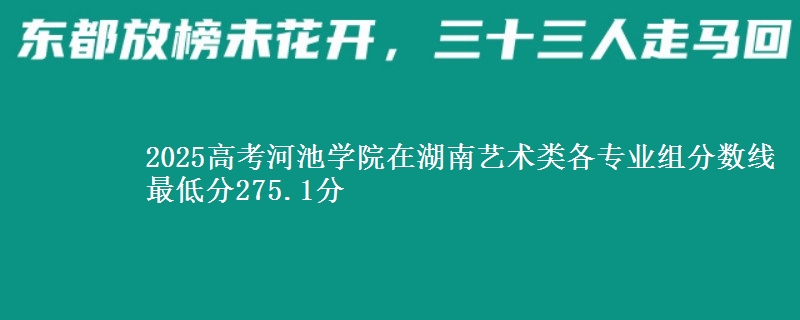 2025高考河池学院在湖南艺术类各专业组分数线 最低分275.1分