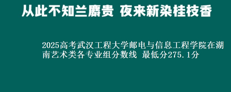 2025高考武汉工程大学邮电与信息工程学院在湖南艺术类各专业组分数线 最低分275.1分
