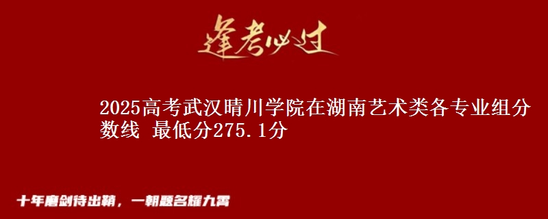 2025高考武汉晴川学院在湖南艺术类各专业组分数线 最低分275.1分
