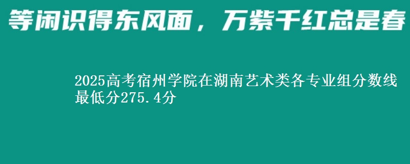 2025高考宿州学院在湖南艺术类各专业组分数线 最低分275.4分