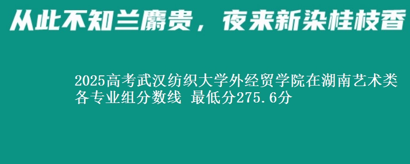2025高考武汉纺织大学外经贸学院在湖南艺术类各专业组分数线 最低分275.6分