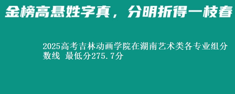 2025高考吉林动画学院在湖南艺术类各专业组分数线 最低分275.7分