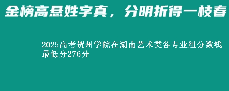 2025高考贺州学院在湖南艺术类各专业组分数线 最低分276分