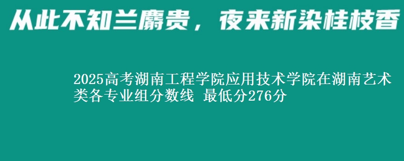 2025高考湖南工程学院应用技术学院在湖南艺术类各专业组分数线 最低分276分