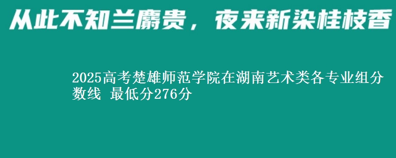 2025高考楚雄师范学院在湖南艺术类各专业组分数线 最低分276分