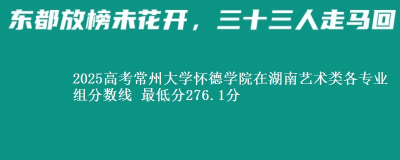 2025高考常州大学怀德学院在湖南艺术类各专业组分数线 最低分276.1分
