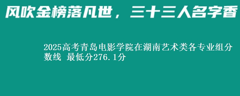 2025高考青岛电影学院在湖南艺术类各专业组分数线 最低分276.1分