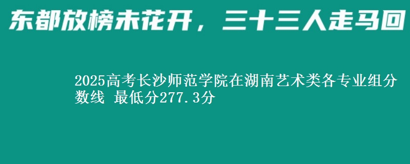 2025高考长沙师范学院在湖南艺术类各专业组分数线 最低分277.3分