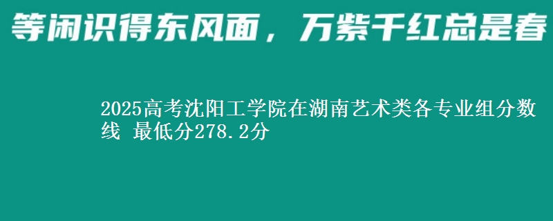 2025高考沈阳工学院在湖南艺术类各专业组分数线 最低分278.2分