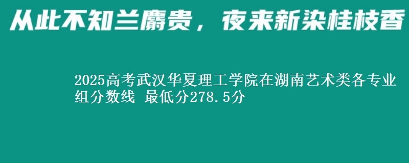 2025高考武汉华夏理工学院在湖南艺术类各专业组分数线 最低分278.5分