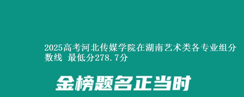 2025高考河北传媒学院在湖南艺术类各专业组分数线 最低分278.7分