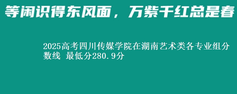 2025高考四川传媒学院在湖南艺术类各专业组分数线 最低分280.9分