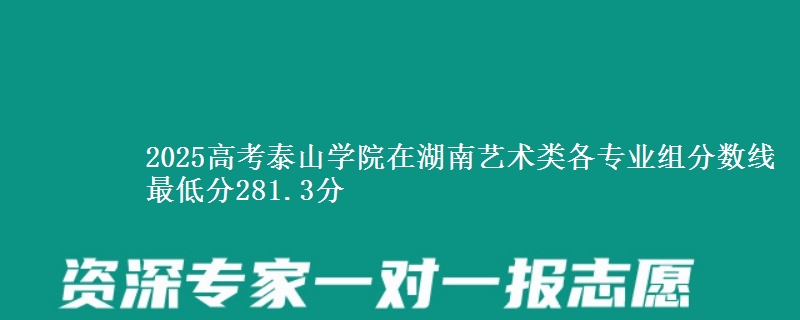 2025高考泰山学院在湖南艺术类各专业组分数线 最低分281.3分