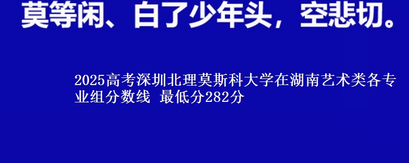 2025高考深圳北理莫斯科大学在湖南艺术类各专业组分数线 最低分282分