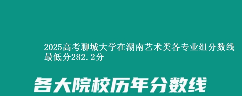 2025高考聊城大学在湖南艺术类各专业组分数线 最低分282.2分