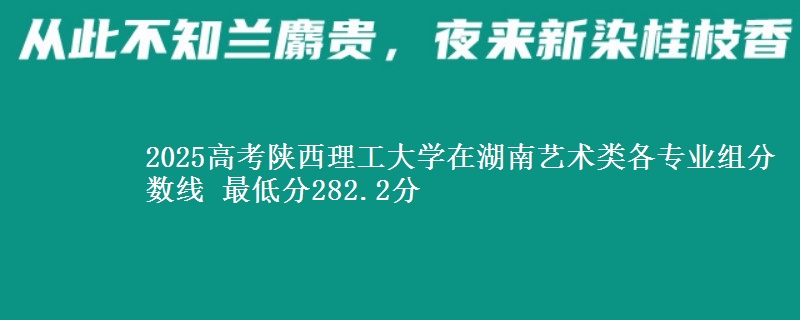 2025高考陕西理工大学在湖南艺术类各专业组分数线 最低分282.2分