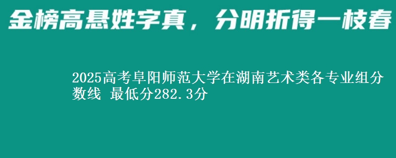 2025高考阜阳师范大学在湖南艺术类各专业组分数线 最低分282.3分