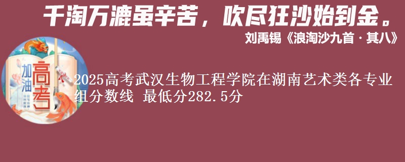 2025高考武汉生物工程学院在湖南艺术类各专业组分数线 最低分282.5分