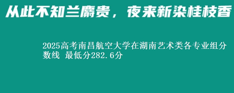 2025高考南昌航空大学在湖南艺术类各专业组分数线 最低分282.6分
