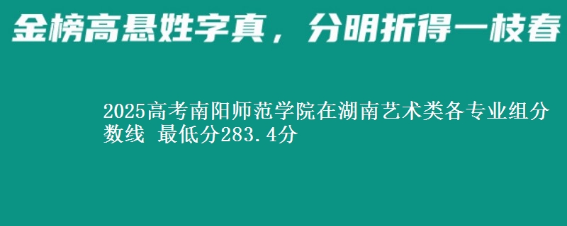 2025高考南阳师范学院在湖南艺术类各专业组分数线 最低分283.4分