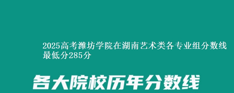 2025高考潍坊学院在湖南艺术类各专业组分数线 最低分285分