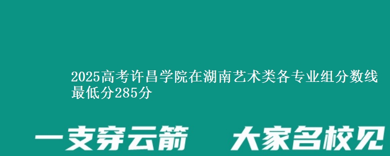 2025高考许昌学院在湖南艺术类各专业组分数线 最低分285分