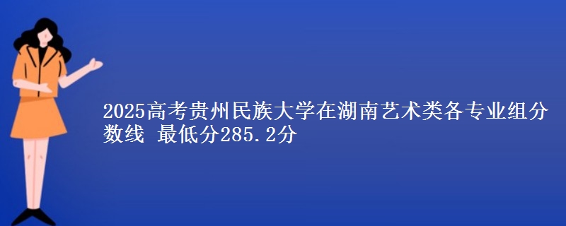 2025高考贵州民族大学在湖南艺术类各专业组分数线 最低分285.2分