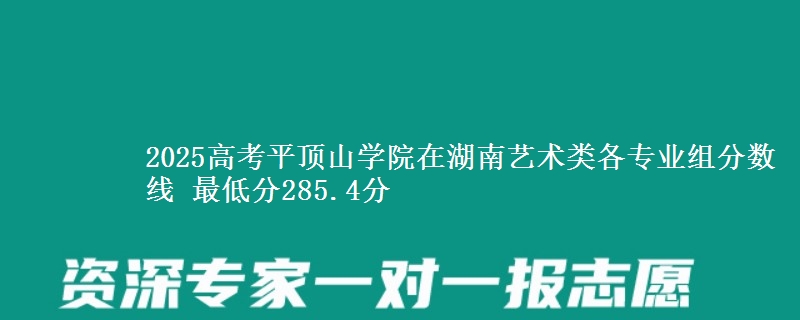 2025高考平顶山学院在湖南艺术类各专业组分数线 最低分285.4分