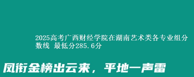2025高考广西财经学院在湖南艺术类各专业组分数线 最低分285.6分