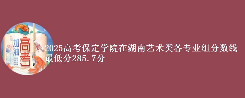 2025高考保定学院在湖南艺术类各专业组分数线 最低分285.7分
