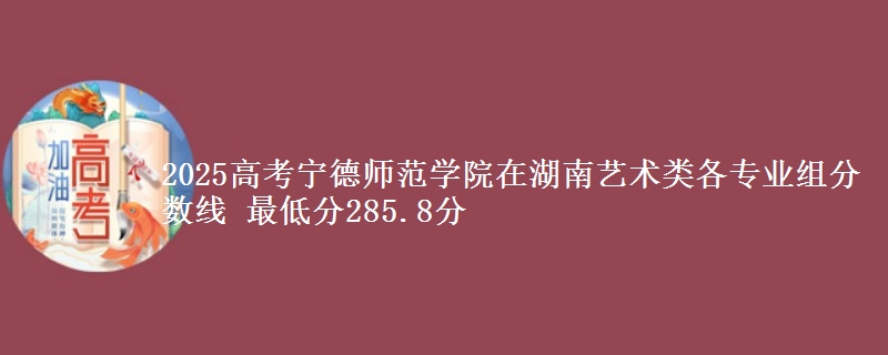 2025高考宁德师范学院在湖南艺术类各专业组分数线 最低分285.8分
