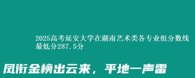 2025高考延安大学在湖南艺术类各专业组分数线 最低分287.5分