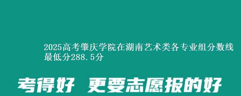 2025高考肇庆学院在湖南艺术类各专业组分数线 最低分288.5分