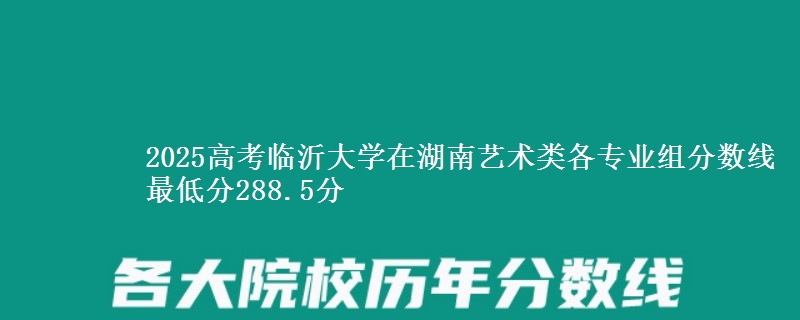 2025高考临沂大学在湖南艺术类各专业组分数线 最低分288.5分