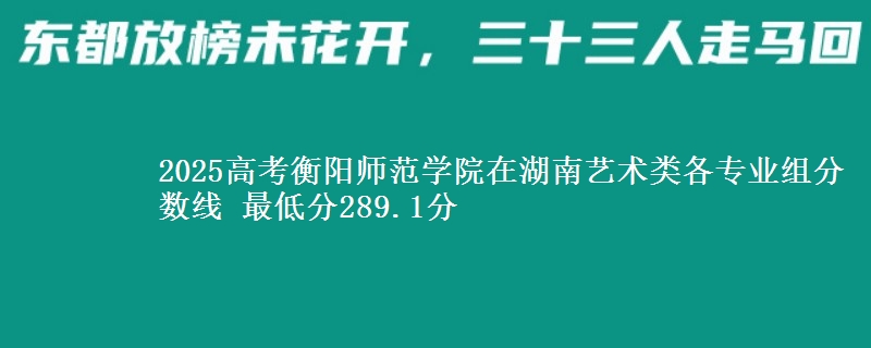 2025高考衡阳师范学院在湖南艺术类各专业组分数线 最低分289.1分