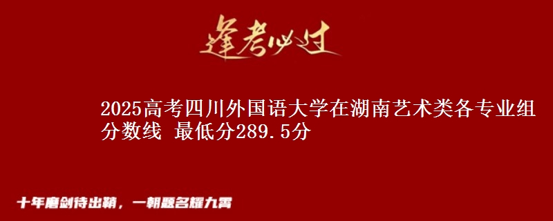 2025高考四川外国语大学在湖南艺术类各专业组分数线 最低分289.5分