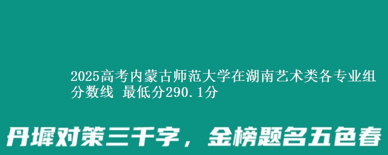 2025高考内蒙古师范大学在湖南艺术类各专业组分数线 最低分290.1分