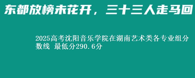 2025高考沈阳音乐学院在湖南艺术类各专业组分数线 最低分290.6分