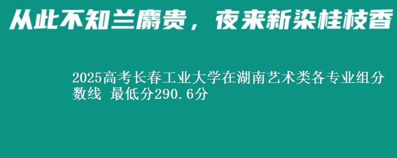 2025高考长春工业大学在湖南艺术类各专业组分数线 最低分290.6分