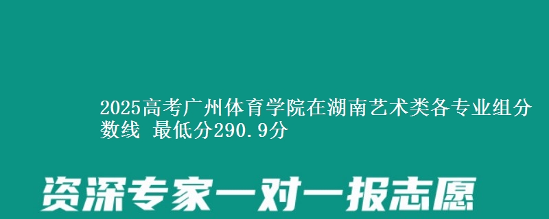 2025高考广州体育学院在湖南艺术类各专业组分数线 最低分290.9分