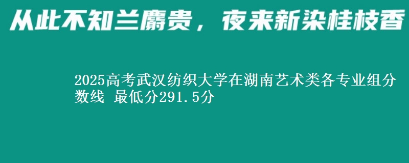 2025高考武汉纺织大学在湖南艺术类各专业组分数线 最低分291.5分
