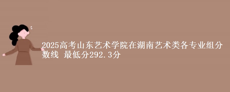 2025高考山东艺术学院在湖南艺术类各专业组分数线 最低分292.3分