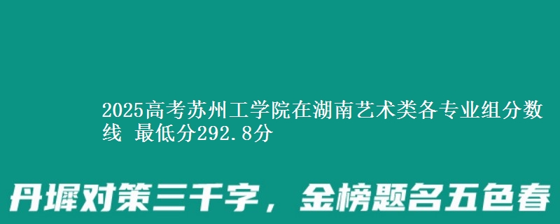 2025高考苏州工学院在湖南艺术类各专业组分数线 最低分292.8分