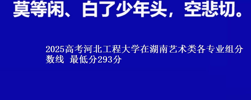 2025高考河北工程大学在湖南艺术类各专业组分数线 最低分293分
